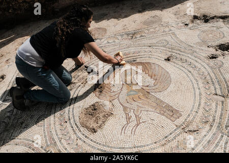 Bet Shemesh, Israel. 23. Oktober, 2019. Mitarbeiter der Israel Antiquities Authority Arbeit einer 1500 Jahre alten Kirche aufzudecken, mit Mosaikböden und Griechischen Mosaik Inschriften dekoriert, entdeckt, etwa 30 Km westlich von Jerusalem. Eine Inschrift gefunden widmet, die Website zu einem namenlosen "glorreichen Märtyrer". Eine zweite erwähnt eine Spende aus der byzantinischen Kaiser Tiberius II Konstantin empfangen. Eine völlig intakte Crypt diente als eine unterirdische Grabkammer für die 'glorreichen Märtyrer". Credit: Nir Alon/Alamy leben Nachrichten Stockfoto