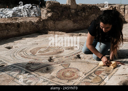 Bet Shemesh, Israel. 23. Oktober, 2019. Mitarbeiter der Israel Antiquities Authority Arbeit einer 1500 Jahre alten Kirche aufzudecken, mit Mosaikböden und Griechischen Mosaik Inschriften dekoriert, entdeckt, etwa 30 Km westlich von Jerusalem. Eine Inschrift gefunden widmet, die Website zu einem namenlosen "glorreichen Märtyrer". Eine zweite erwähnt eine Spende aus der byzantinischen Kaiser Tiberius II Konstantin empfangen. Eine völlig intakte Crypt diente als eine unterirdische Grabkammer für die 'glorreichen Märtyrer". Credit: Nir Alon/Alamy leben Nachrichten Stockfoto