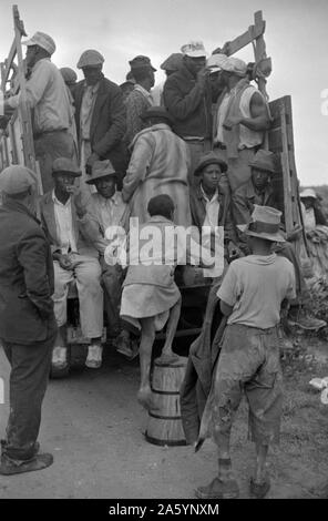 Pflanzlichen Arbeitnehmer, Migranten, warten nach der Arbeit zu entrichten. In der Nähe von Homestead, Florida datiert 19390101 Stockfoto