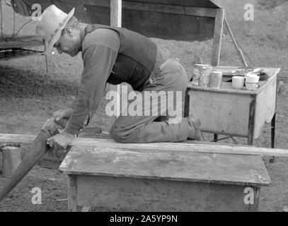 Weiß Wanderarbeitnehmer Sägen von Holz für Einsätze im Aufbau Zelt home verwendet werden, in der Nähe von Harlingen, Texas von Russell Lee, 1903-1986, vom 19390101. Stockfoto