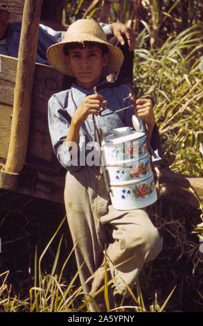 Sohn eines FSA Bauern am Rio Piedras Projekt die Mittagessen, um seinen Vater gebracht, arbeiten im Feld Zuckerrohr, Nähe des Rio Piedras, Puerto Rico. Fotograf Jack Delano (1914-1997). Januar 1942. Stockfoto