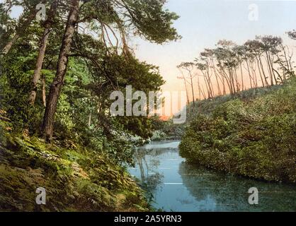 Branksome Chine, Bournemouth, England 1900 farbigen Photochrom Bild Stockfoto