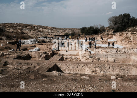 Bet Shemesh, Israel. 23. Oktober, 2019. Mitarbeiter der Israel Antiquities Authority Arbeit einer 1500 Jahre alten Kirche aufzudecken, mit Mosaikböden und Griechischen Mosaik Inschriften dekoriert, entdeckt, etwa 30 Km westlich von Jerusalem. Eine Inschrift gefunden widmet, die Website zu einem namenlosen "glorreichen Märtyrer". Eine zweite erwähnt eine Spende aus der byzantinischen Kaiser Tiberius II Konstantin empfangen. Eine völlig intakte Crypt diente als eine unterirdische Grabkammer für die 'glorreichen Märtyrer". Credit: Nir Alon/Alamy leben Nachrichten Stockfoto