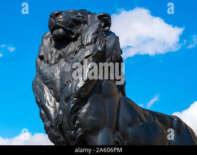 Einer der Löwen auf der Basis des Christoph Kolumbus Monument. Barcelona, Katalonien, Spanien, Europa. Stockfoto