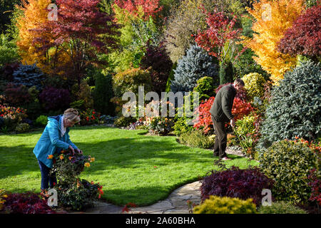 Rentnerehepaar Marie und Tony Newton in Ihren vier Jahreszeiten Garten als es in herbstlichen Farben platzt an ihrem Haus in Walsall, West Midlands. Stockfoto