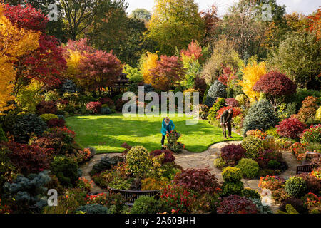 Rentnerehepaar Tony und Marie Newton neigen dazu, ihre Vier Jahreszeiten Garten als es in herbstlichen Farben platzt an ihrem Haus in Walsall, West Midlands. Stockfoto