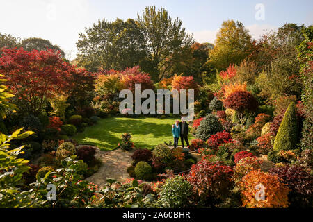 Paar Tony und Marie Newton in Ihren vier Jahreszeiten Garten zurückgezogen als es in herbstlichen Farben platzt an ihrem Haus in Walsall, West Midlands. Stockfoto