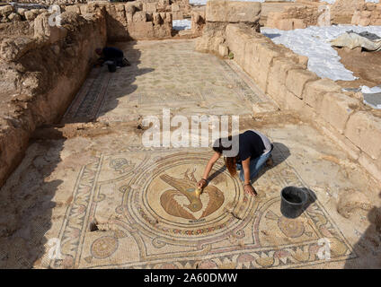 Ramat Beit Shemesh, Israel. 23 Okt, 2019. Ein Arbeitnehmer, der Israel Antiquities Authority reinigt ein Mosaik eines großen Adler in einem 1500 Jahre alten byzantinischen Kirche in Ramat Beit Shemesh, am Mittwoch, 23. Oktober 2019. Die drei Jahre Ausgrabungen entdeckt die Kirche, griechische Inschriften, Mosaiken, eine Taufe und eine Krypta eines unbekannten glorreichen Märtyrer. Foto von Debbie Hill/UPI Quelle: UPI/Alamy leben Nachrichten Stockfoto