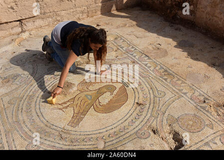 Ramat Beit Shemesh, Israel. 23 Okt, 2019. Ein Arbeitnehmer, der Israel Antiquities Authority reinigt ein Mosaik eines großen Adler in einem 1500 Jahre alten byzantinischen Kirche in Ramat Beit Shemesh, am Mittwoch, 23. Oktober 2019. Die drei Jahre Ausgrabungen entdeckt die Kirche, griechische Inschriften, Mosaiken, eine Taufe und eine Krypta eines unbekannten glorreichen Märtyrer. Foto von Debbie Hill/UPI Quelle: UPI/Alamy leben Nachrichten Stockfoto