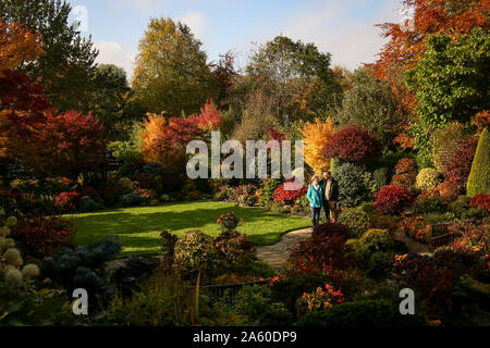 Paar Tony und Marie Newton in Ihren vier Jahreszeiten Garten zurückgezogen als es in herbstlichen Farben platzt an ihrem Haus in Walsall, West Midlands. PA-Foto. Bild Datum: Mittwoch, 23. Oktober 2019. Photo Credit: Jacob König/PA-Kabel Stockfoto