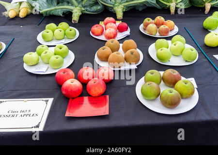 Die Teilnehmer der Klasse 163, fünf Äpfel, einschließlich die gewinnende Gruppe, bei Frome Käse zeigen, 14. September 2019 Stockfoto