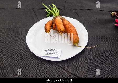 Ein wonky Karotte Eintrag der Klasse 169 a, Mishape Gemüse oder Obst, im Gartenbau Zelt bei der Frome Käse zeigen, 14. September 2019 Stockfoto