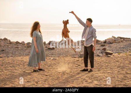 Junges Paar mit Hund am Strand, Hund springen Stockfoto