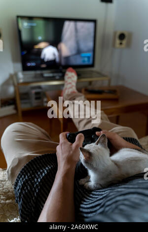 Mann spielt Videospiel mit Kätzchen auf seinen Schoß. Stockfoto