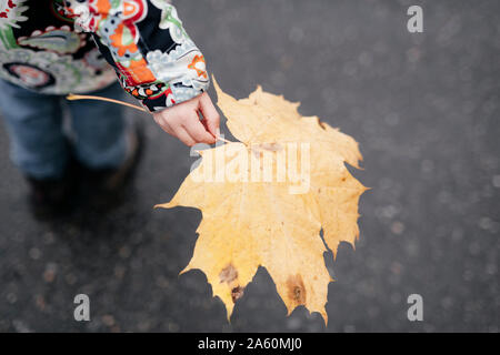 Das kleine Mädchen Hand Herbst Blatt Stockfoto