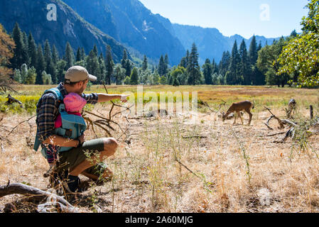 Vater und Baby Mädchen beobachten Maultier Rehe zusammen, Yosemite National Park, Kalifornien, USA Stockfoto