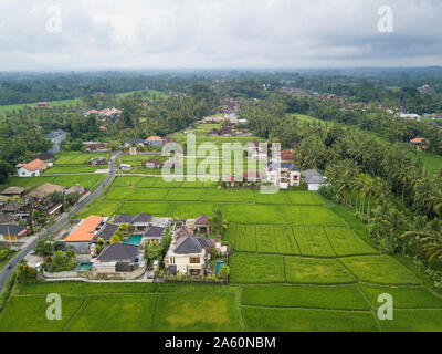 Luftaufnahme von Ubud Landschaft in Bali. Stockfoto