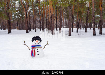 Winterlandschaft mit einem Schneemann in einem Stadtpark. Verschneite Wiese in der Nähe von Kiefern Stockfoto
