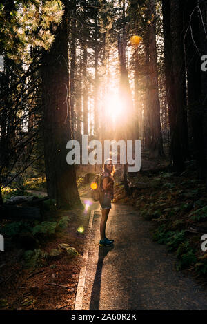 Frau mit Rucksack wandern im Wald bei Sonnenuntergang im Sequoia National Park, Kalifornien, USA Stockfoto