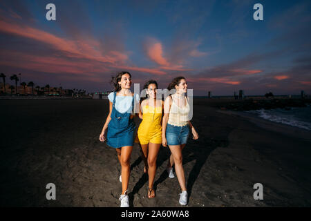 Drei glückliche weibliche Freunde zu Fuß am Strand bei Sonnenuntergang Stockfoto