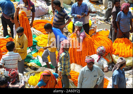 Am frühen Morgen des Ringelblume Girlande Seile, Malik Ghat Blumenmarkt, Kolkata, West Bengal, Indien, Asien Stockfoto