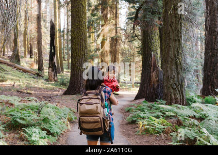 Mutter mit einem kleinen Mädchen in den Wald im Sequoia National Park, Kalifornien, USA Stockfoto