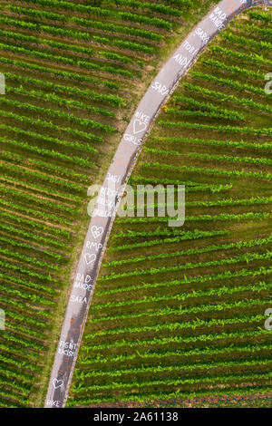 Worte auf kurvenreichen Straße durch Weingärten, Deutschland Stockfoto