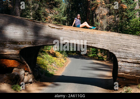 Frau sitzt auf einem Tunnel Log im Sequoia National Park, Kalifornien, USA Stockfoto