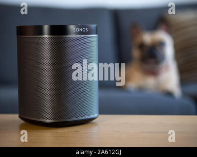 Großbritannien, Oktober 2019: Sonos spielen schwarz Wireless Speaker mit Hund in der Lounge Stockfoto