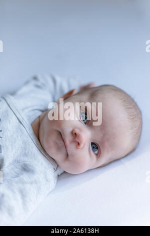 Portrait eines Babyjungen Stockfoto