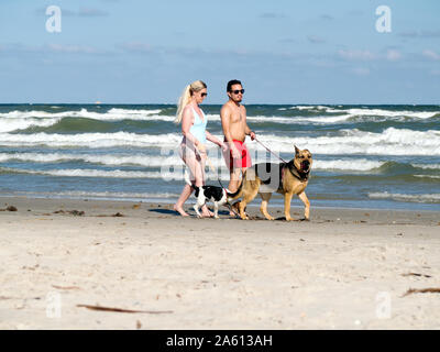 Ein paar in Badekleidung zu Fuß ihre Hunde auf einem Port Aransas, Texas USA Strand. Stockfoto