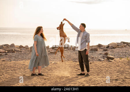 Junges Paar mit Hund am Strand, Hund springen Stockfoto