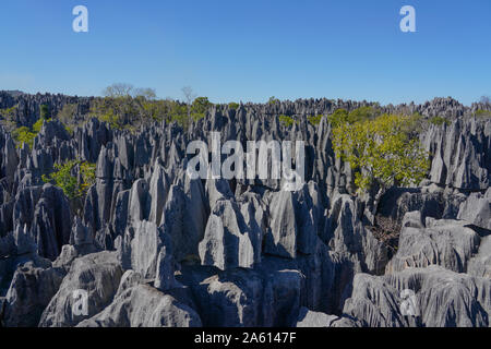 Tsingy de Bemaraha Nationalpark, UNESCO-Weltkulturerbe, Melaky Region, westlichen Madagaskar, Afrika Stockfoto