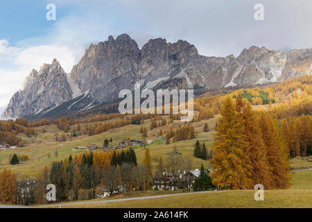 Herbst in der Nähe von Cortina d'Ampezzo in den Dolomiten, Venetien, Italien, Europa Stockfoto