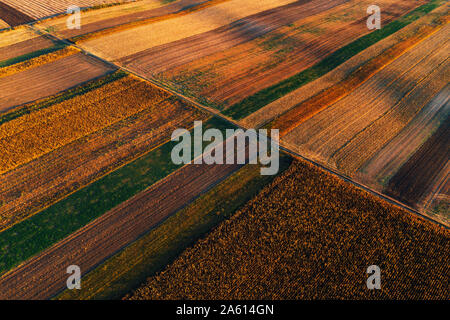 Farbenfrohen Landschaft patchwork Hintergrund, landwirtschaftlich genutzte Feld als abstraktes Muster im Herbst Sonnenuntergang, Luftaufnahme von Drone pov Stockfoto