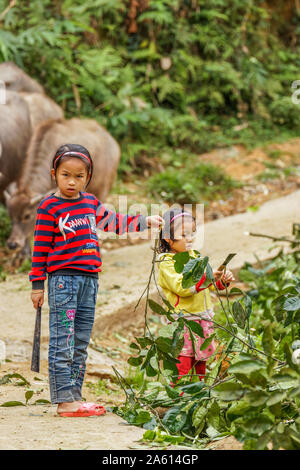 Pu Luong Nature Reserve, Thanh Hoa/Vietnam - 10. März 2019: Ein kleines Mädchen in die Kamera begeistert. Stockfoto