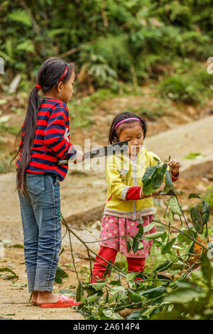 Pu Luong Nature Reserve, Thanh Hoa/Vietnam - 10. März 2019: Pu Luong Nature Reserve, Thanh Hoa/Vietnam - 10. März 2019: Kleine Mädchen schneiden lassen Stockfoto