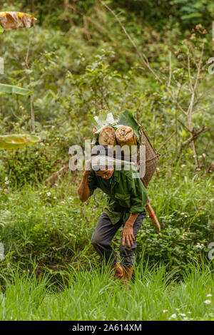 Pu Luong Nature Reserve, Thanh Hoa/Vietnam - 10. März 2019: Ein erwachsener Mann, der schwere Sachen mit seinem Kopf. Stockfoto