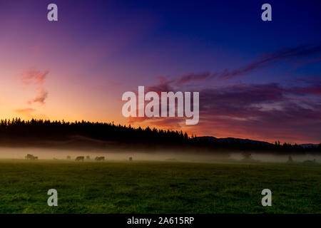 Ackerland von Auburn bei Sonnenaufgang, Washington State, Vereinigte Staaten von Amerika, Nordamerika Stockfoto