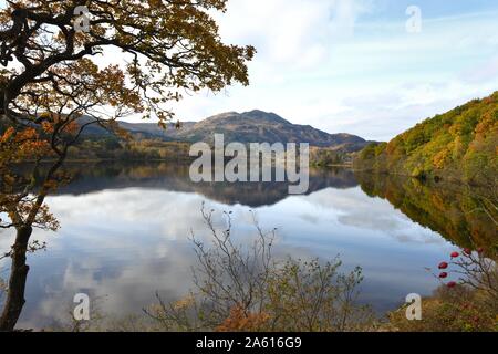 Malerische Ansicht Herbst Farben entlang Loch Achray in Richtung Ben Venue in die Trossachs, Stirlingshire, Schottland, UK Stockfoto