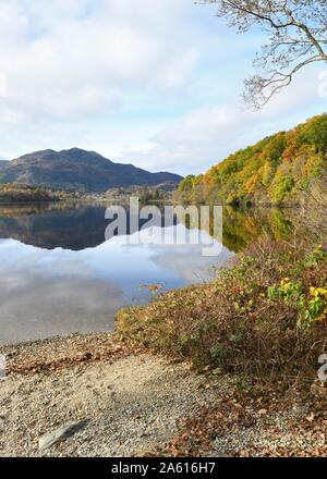 Malerische Ansicht Herbst Farben entlang Loch Achray in Richtung Ben Venue in die Trossachs, Stirlingshire, Schottland, UK Stockfoto