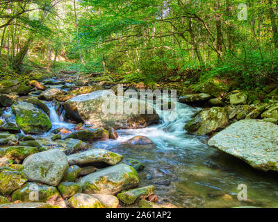 Mittleren Stift des Little Pigeon River im Greenbrier Bereich der Great Smoky Mountains National Park in Tennessee in den Vereinigten Staaten Stockfoto