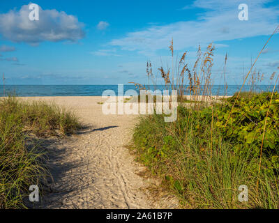 Sandigen weg in Nokomis Beach am Golf von Mexiko im Morgenlicht auf Casey Schlüssel in Nokomis, Florida in den Vereinigten Staaten Stockfoto