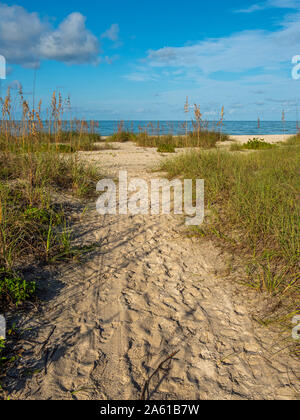 Sandigen weg in Nokomis Beach am Golf von Mexiko im Morgenlicht auf Casey Schlüssel in Nokomis, Florida in den Vereinigten Staaten Stockfoto