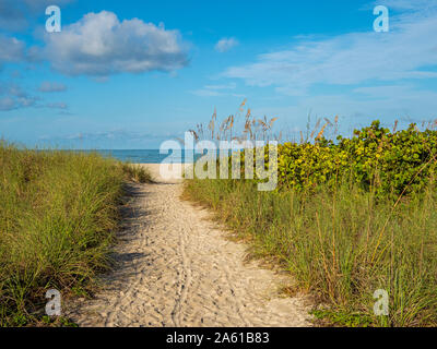 Sandigen weg in Nokomis Beach am Golf von Mexiko im Morgenlicht auf Casey Schlüssel in Nokomis, Florida in den Vereinigten Staaten Stockfoto