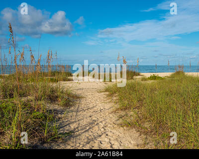 Sandigen weg in Nokomis Beach am Golf von Mexiko im Morgenlicht auf Casey Schlüssel in Nokomis, Florida in den Vereinigten Staaten Stockfoto