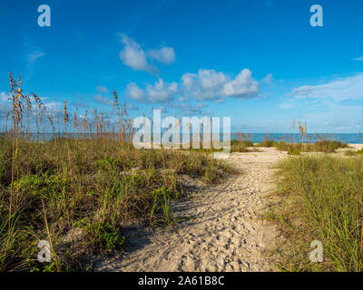 Sandigen weg in Nokomis Beach am Golf von Mexiko im Morgenlicht auf Casey Schlüssel in Nokomis, Florida in den Vereinigten Staaten Stockfoto