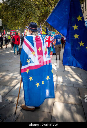 Anti-Brexit Demonstranten vor das Parlament, Westminster, London, Großbritannien. Stockfoto