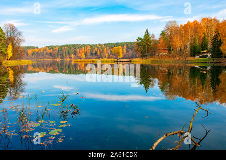 Reflexionen im Herbst. Schönen Herbst Landschaft mit See und ruhiges Wasser, Wald mit gelb, orange und grüne Bäume, Oktober, November Hintergrund Stockfoto