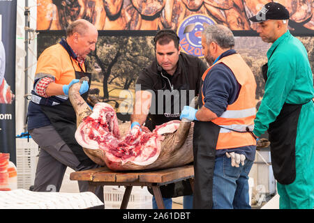 Aracena, Huelva, Spanien - Oktober 20, 2019: Metzger in Schlachtung und traditionelle Herstellung der iberischen Schwein und extrahieren Sie verschiedene Teile o Stockfoto